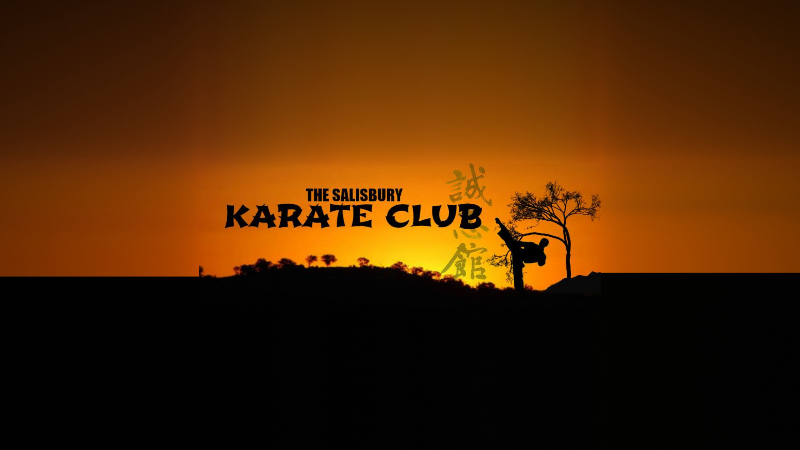 Salisbury Karate Club