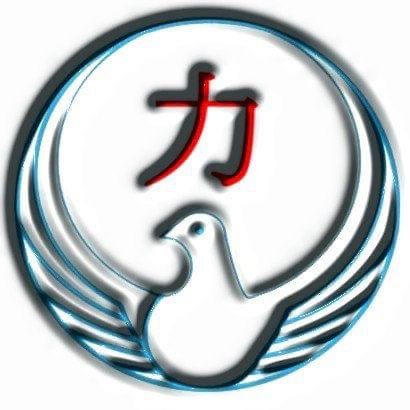 Chikara Wado Karate
